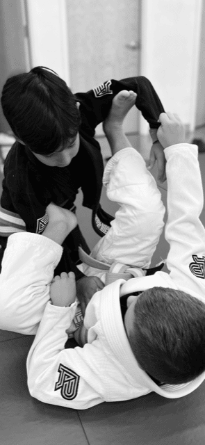Inverse Jiu Jitsu Alliance Jiu Jitsu Vail Kid's Program - Ages 4 to 6